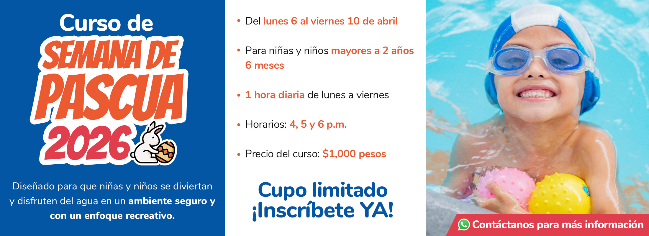 Educación Acuática en Irapuato, Gto. | ACUATICS